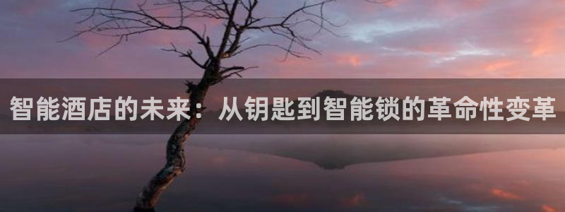 金年会体育app官网：智能酒店的未来：从钥匙到智能锁的革命性