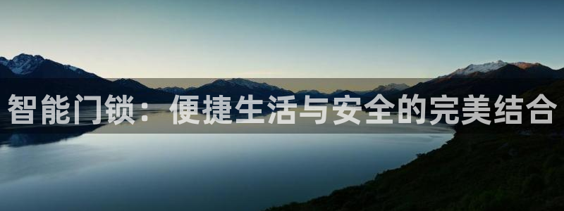 金顶年会：智能门锁：便捷生活与安全的完美结合