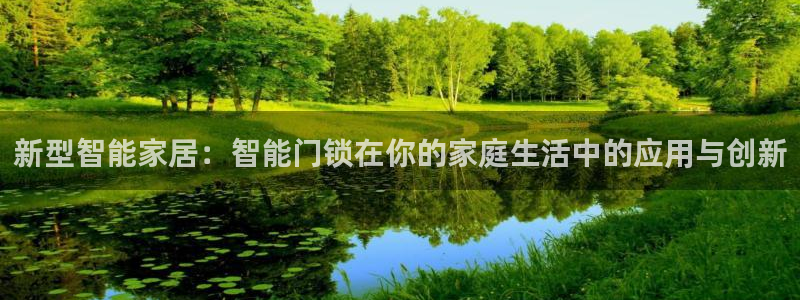 金年会介绍：新型智能家居：智能门锁在你的家庭生活中的应用与创