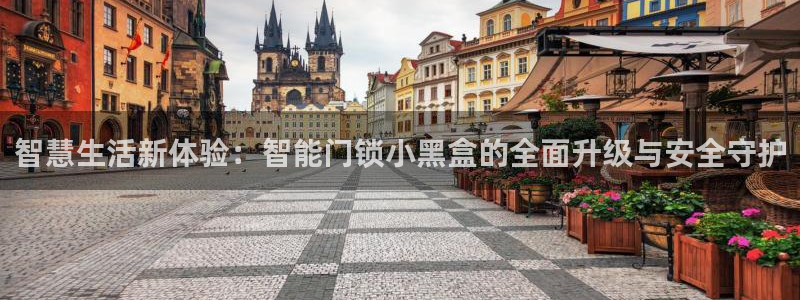 金实年会：智慧生活新体验：智能门锁小黑盒的全面升级与安全守护