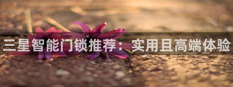 金实年会：三星智能门锁推荐：实用且高端体验