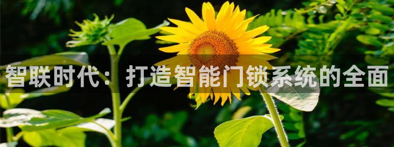 金年会首页登录：智联时代：打造智能门锁系统的全面
