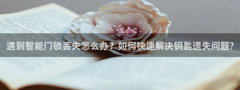 金年会电子游戏app：遇到智能门锁丢失怎么办？如何快速解决钥