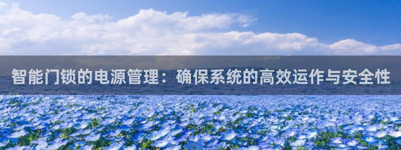 金年会平台出款：智能门锁的电源管理：确保系统的高效运作与安全