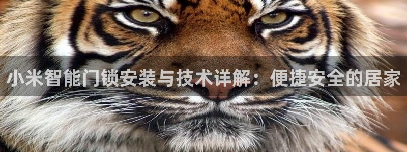 金年会提款慢：小米智能门锁安装与技术详解：便捷安全的居家