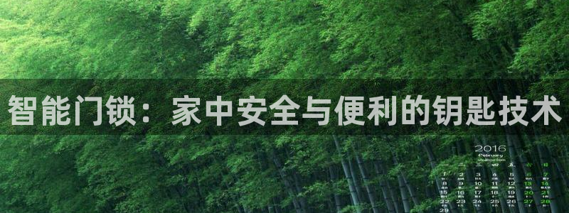 金雅陶瓷年会现场：智能门锁：家中安全与便利的钥匙技术