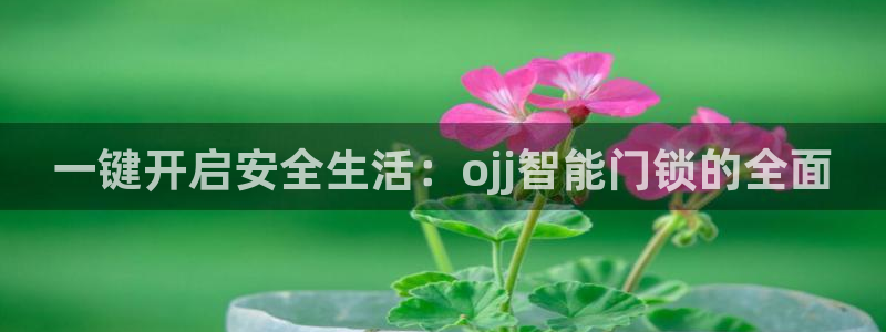 金年会体育官方网站入口：一键开启安全生活：ojj智能门锁的全