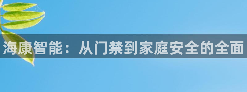 金年会体育下载app：海康智能：从门禁到家庭安全的全面