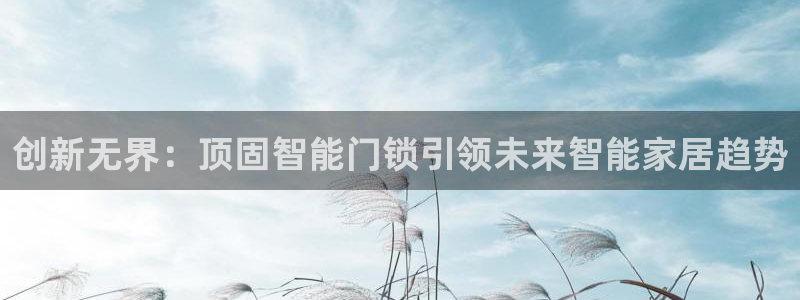 金年会赞助西甲：创新无界：顶固智能门锁引领未来智能家居趋势
