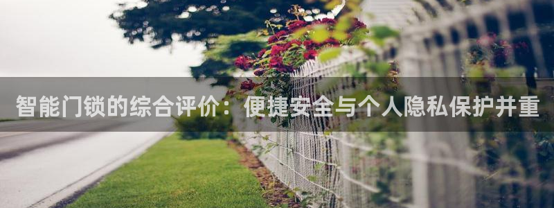 金年会金字招牌信誉至上：智能门锁的综合评价：便捷安全与个人隐