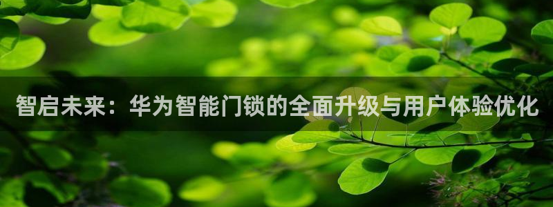 金年会娱乐下载app：智启未来：华为智能门锁的全面升级与用户
