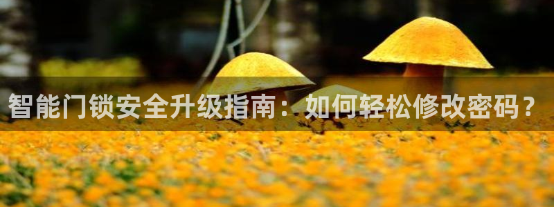 金年会18 28：智能门锁安全升级指南：如何轻松修改密码？