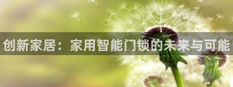 金年会登录：创新家居：家用智能门锁的未来与可能