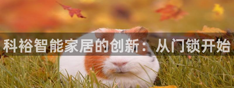 金年会投注官网：科裕智能家居的创新：从门锁开始