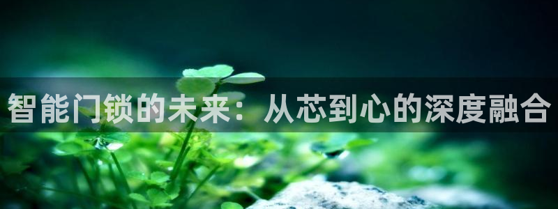 金年会jinnian：智能门锁的未来：从芯到心的深度融合