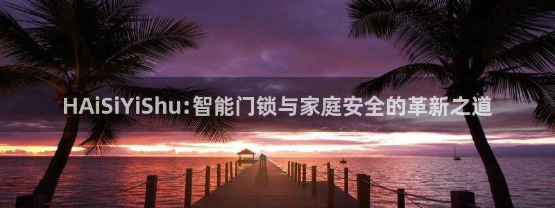 陆金所 年会：HAiSiYiShu:智能门锁与家庭安全的革新
