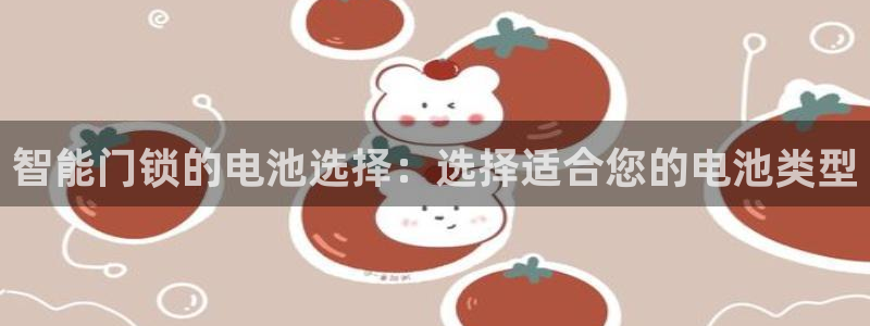 金年会金字招牌下载：智能门锁的电池选择：选择适合您的电池类型