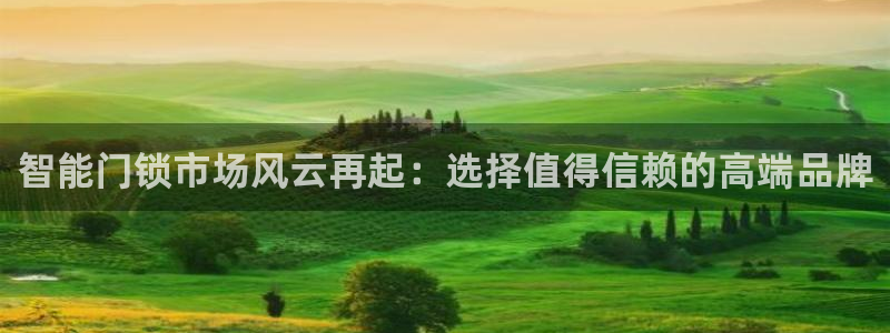 金年会是正规平台吗：智能门锁市场风云再起：选择值得信赖的高端