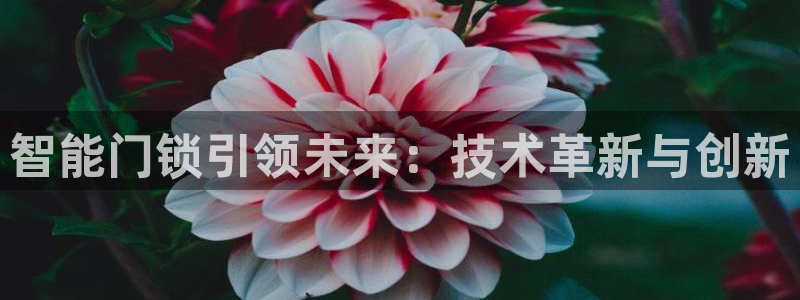 金年会金字招牌信誉：智能门锁引领未来：技术革新与创新