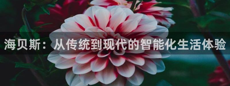 金年会官方网站下载：海贝斯：从传统到现代的智能化生活体验