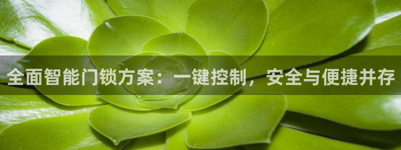 金年会金字招牌：全面智能门锁方案：一键控制，安全与便捷并存