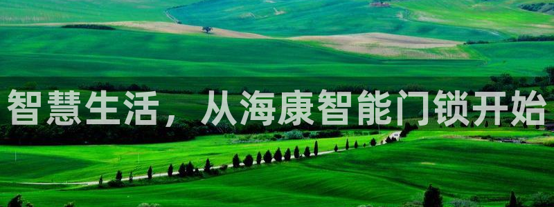 金年会VIP：智慧生活，从海康智能门锁开始