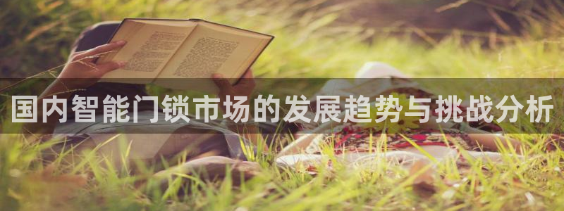 金年会全站app：国内智能门锁市场的发展趋势与挑战分析