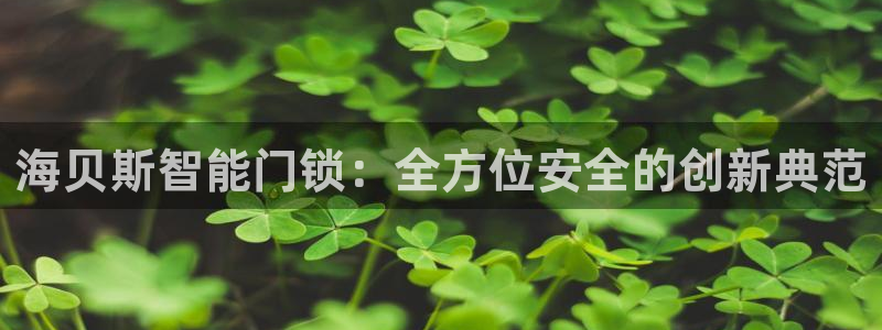 金年会金字招牌诚信：海贝斯智能门锁：全方位安全的创新典范