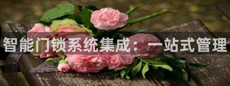 金年会体育官网在线：智能门锁系统集成：一站式管理