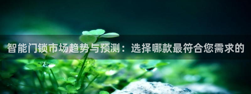 金齿科年会：智能门锁市场趋势与预测：选择哪款最符合您需求的