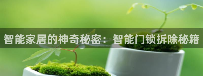 融通金年会：智能家居的神奇秘密：智能门锁拆除秘籍