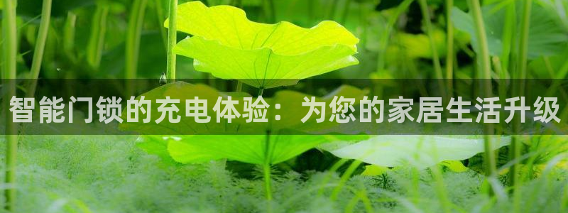 金年会全站app：智能门锁的充电体验：为您的家居生活升级