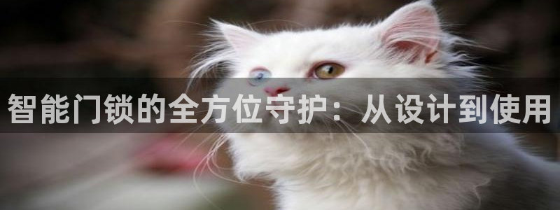 金年会官：智能门锁的全方位守护：从设计到使用