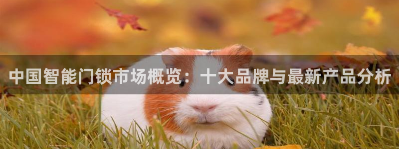 金立年会：中国智能门锁市场概览：十大品牌与最新产品分析