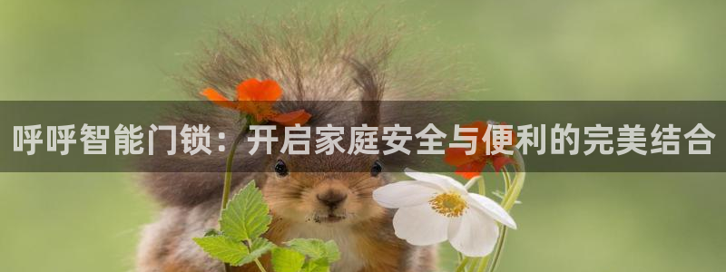 金年会 平台：呼呼智能门锁：开启家庭安全与便利的完美结合