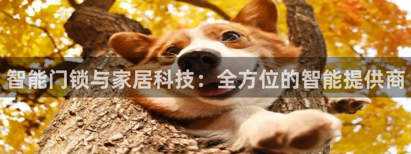 金年会平台包赔：智能门锁与家居科技：全方位的智能提供商