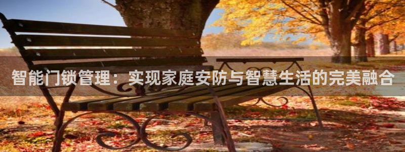 金年会提款：智能门锁管理：实现家庭安防与智慧生活的完美融合