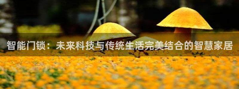 金年会体育平台在线登录：智能门锁：未来科技与传统生活完美结合