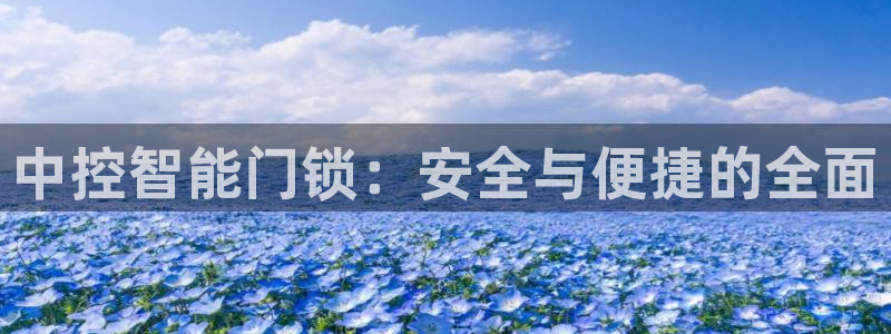 金年会娱乐：中控智能门锁：安全与便捷的全面