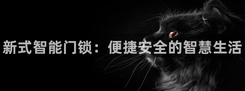 金年会网登录平台入口：新式智能门锁：便捷安全的智慧生活