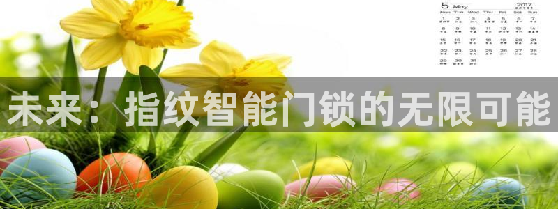 jinnian金年会：未来：指纹智能门锁的无限可能