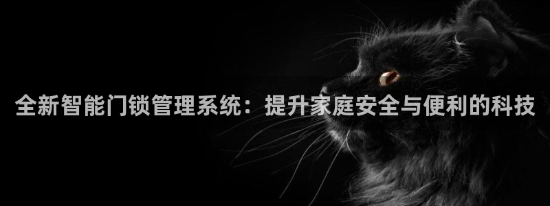 金年会吧：全新智能门锁管理系统：提升家庭安全与便利的科技