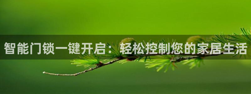 2022年金科年会：智能门锁一键开启：轻松控制您的家居生活