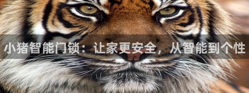 金年会平台是真的吗：小猪智能门锁：让家更安全，从智能到个性