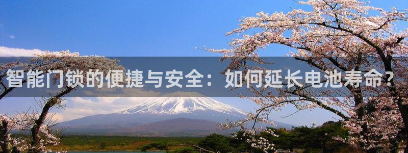 金年会电子游戏：智能门锁的便捷与安全：如何延长电池寿命？