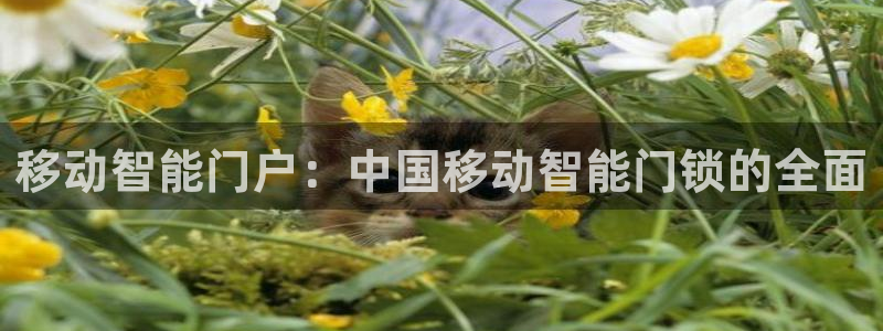 金年会登陆：移动智能门户：中国移动智能门锁的全面