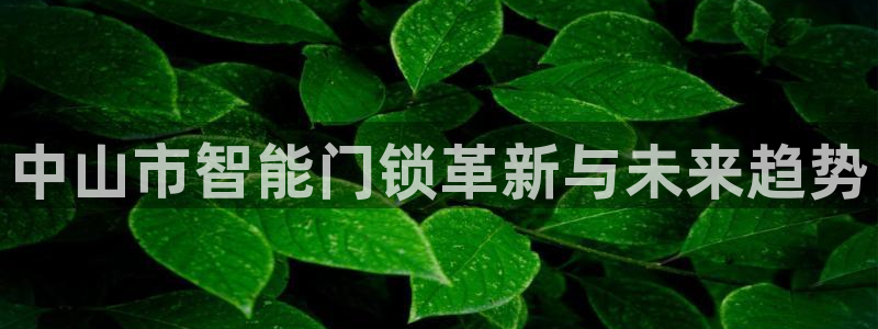 金年会能提款吗：中山市智能门锁革新与未来趋势