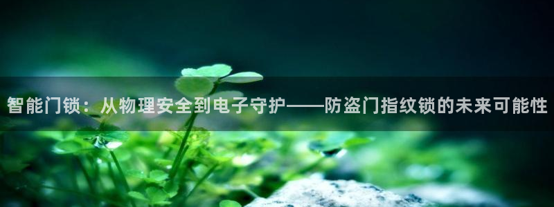 体育金年会：智能门锁：从物理安全到电子守护——防盗门指纹锁的