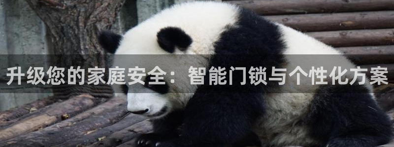 金年会最新下载：升级您的家庭安全：智能门锁与个性化方案