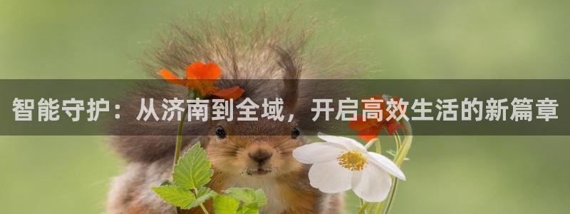 金年会APP安装下载：智能守护：从济南到全域，开启高效生活的